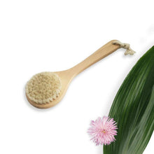 Load image into Gallery viewer, Kalon Natural Bristle Bath Brush with Long Handle
