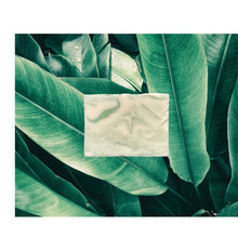 Load image into Gallery viewer, Kalon Natural Soap_Lime Coco
